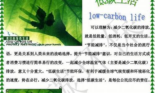 低碳环保作文600字以上怎么写的_低碳环